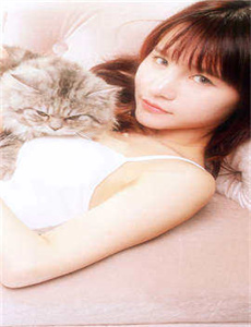 脸Visage